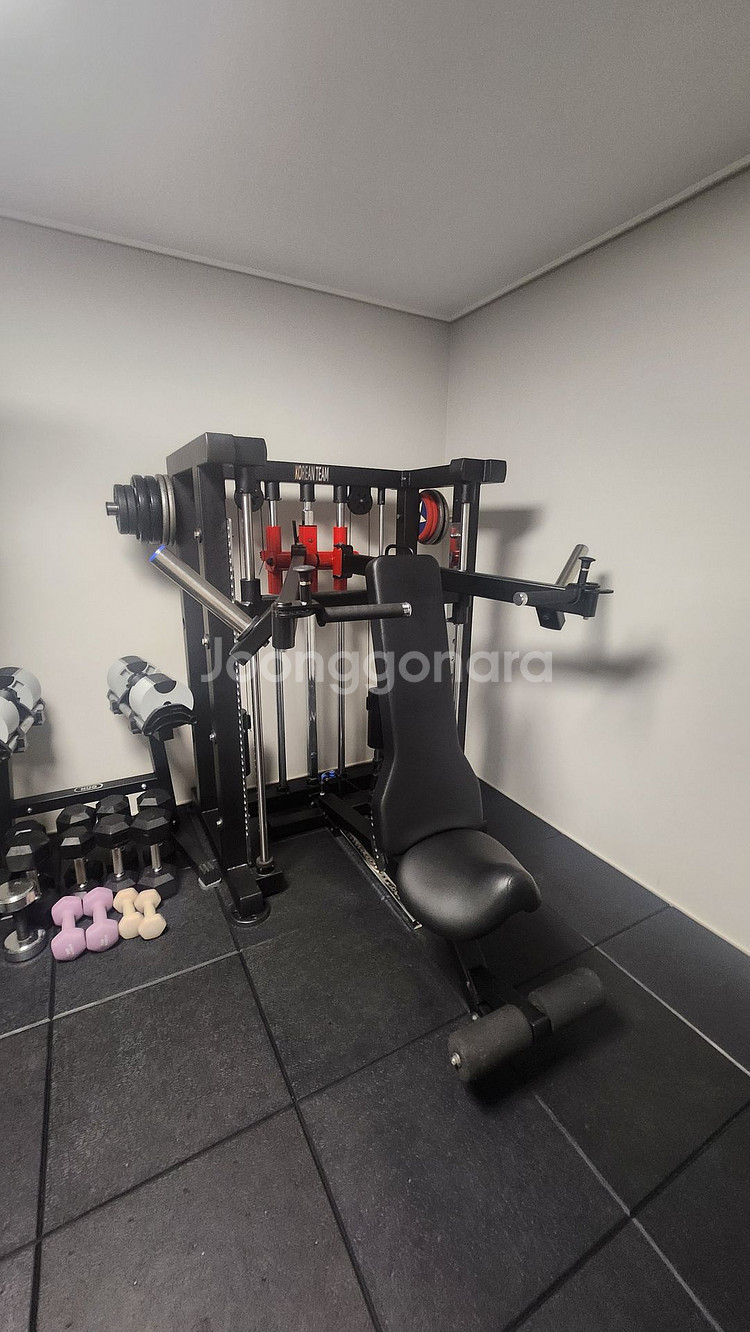 코리안팀 멀티 해머프레스--1