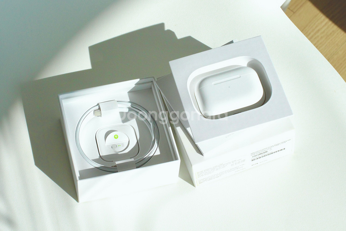 AppleAirPodsPro(1세대), 엘라고케이스포함--0