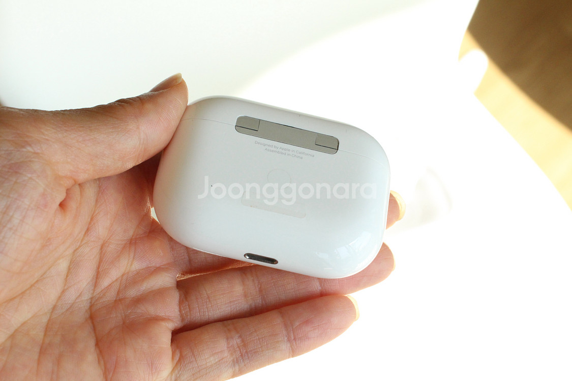AppleAirPodsPro(1세대), 엘라고케이스포함--2