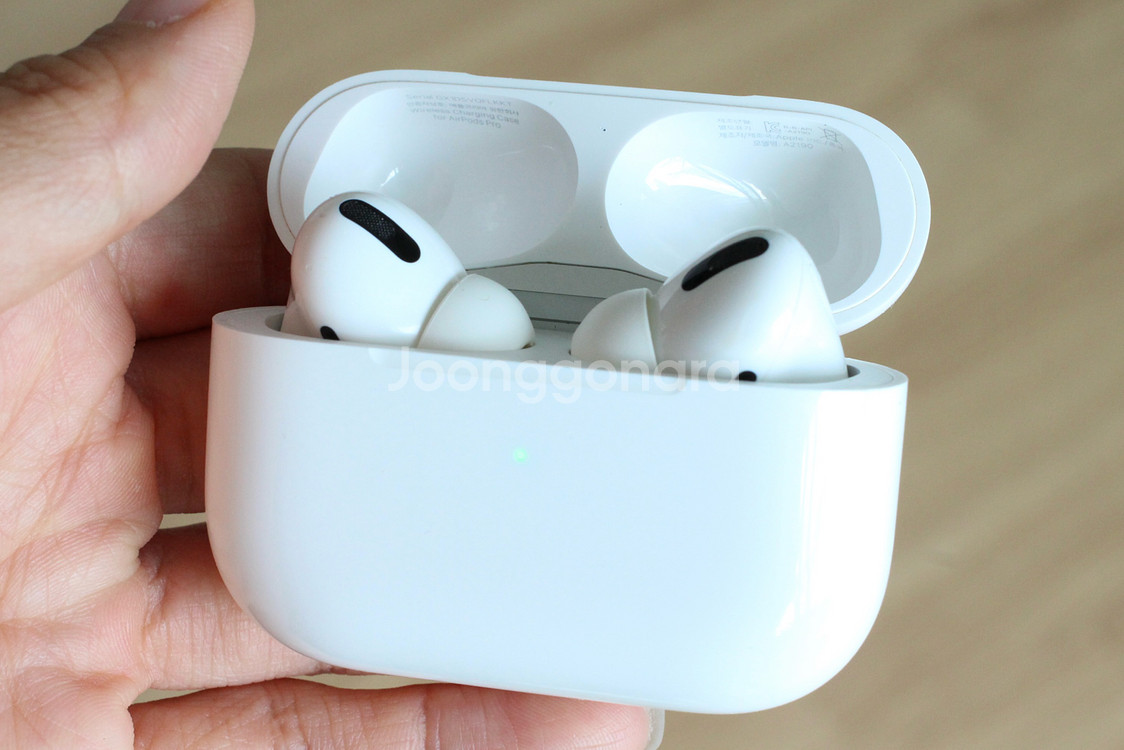 AppleAirPodsPro(1세대), 엘라고케이스포함--1