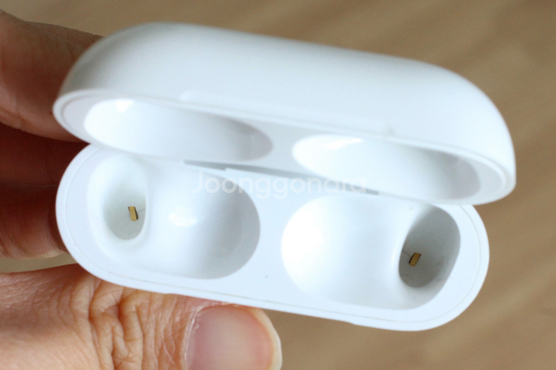 AppleAirPodsPro(1세대), 엘라고케이스포함--6