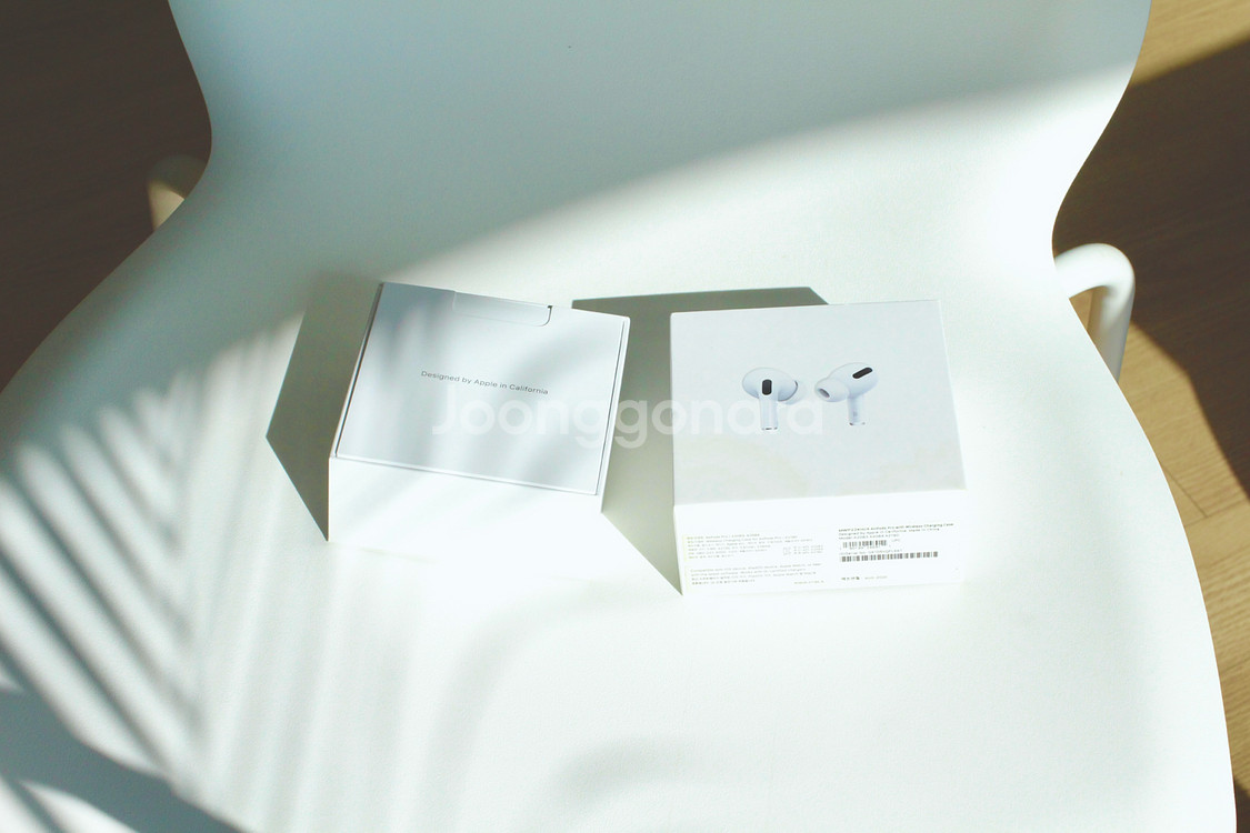 AppleAirPodsPro(1세대), 엘라고케이스포함--9