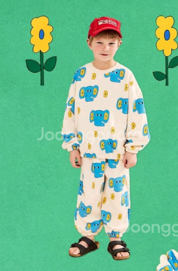 리미떼두두 코끼리셋 xl 2xl--0