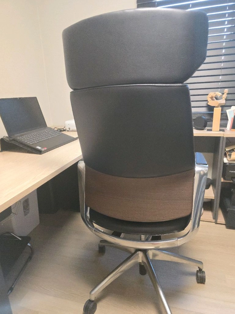파트라 중역용 의자 볼프 이미지