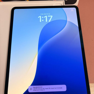 아이패드 프로 m4 13인치 7세대 512기가 와이파이