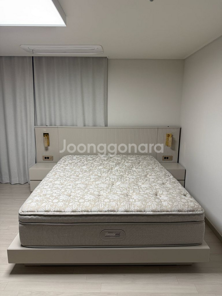 시몬스 젤몬 LK--0