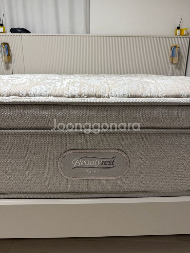 시몬스 젤몬 LK--2