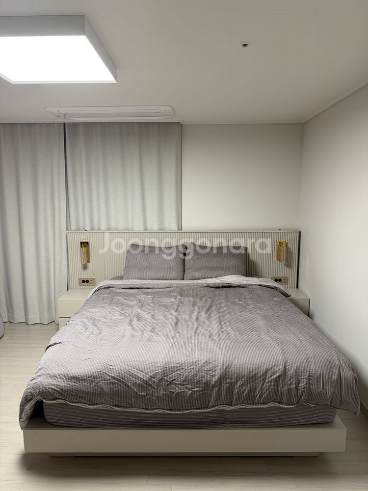 시몬스 젤몬 LK--1