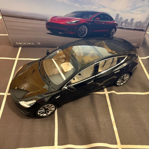 테슬라 모델3 1:18 다이캐스트 정품 팝니다