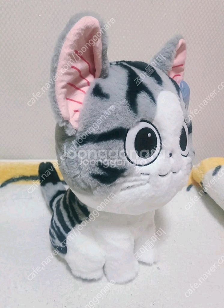 인형대량 텍달린 새상품 대형부터 중형 곰 고양이 인형--4