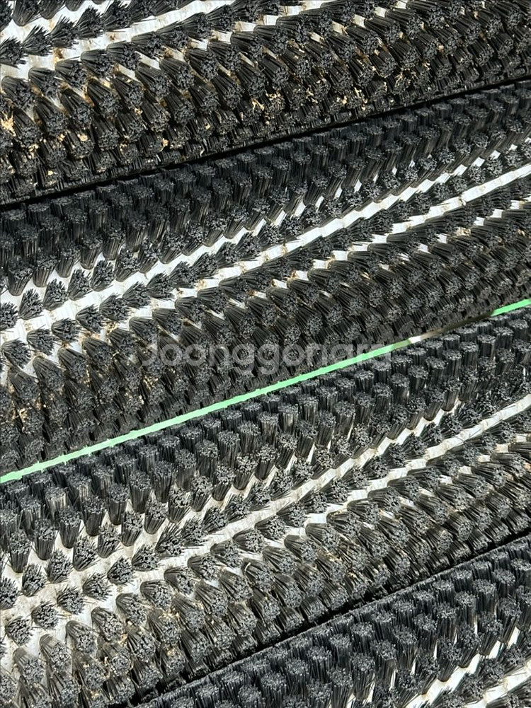 구근류탈피기 구근류세척기--6