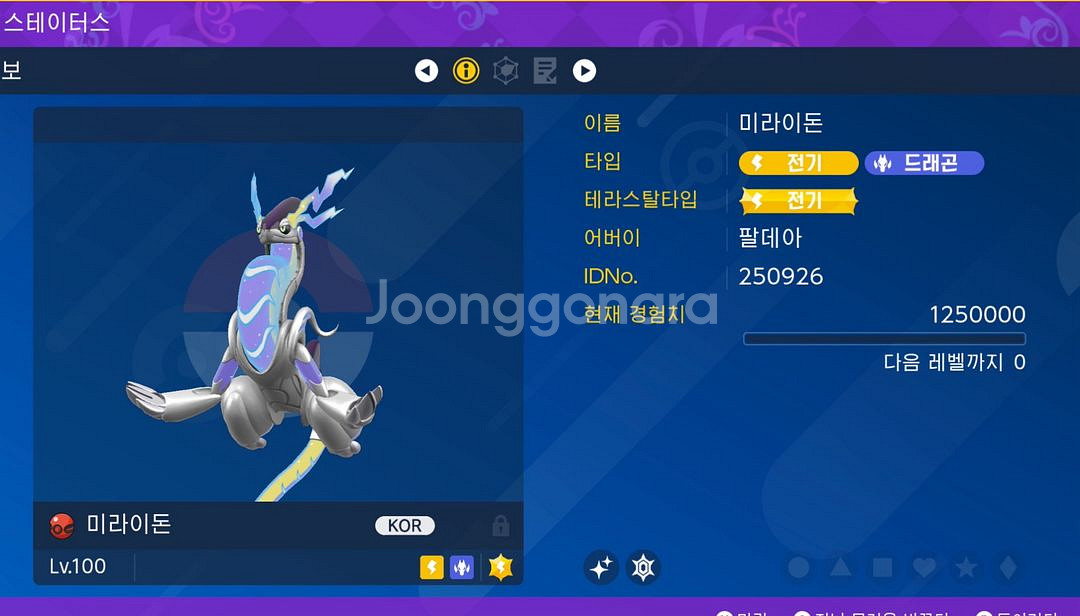 포켓몬스터 스칼렛 바이올렛 이로치 미라이돈--0