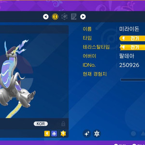 포켓몬스터 스칼렛 바이올렛 이로치 미라이돈