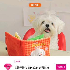 바잇미 쇼핑상품권 5천원(1천원)