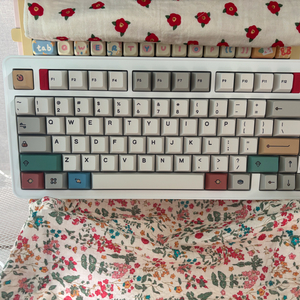 스웨그키 evo75 노바 화이트 rye 스위치 키보드