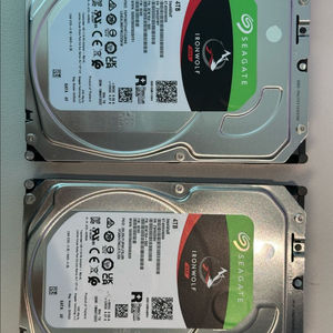 시게이트 아이언울프 4tb
