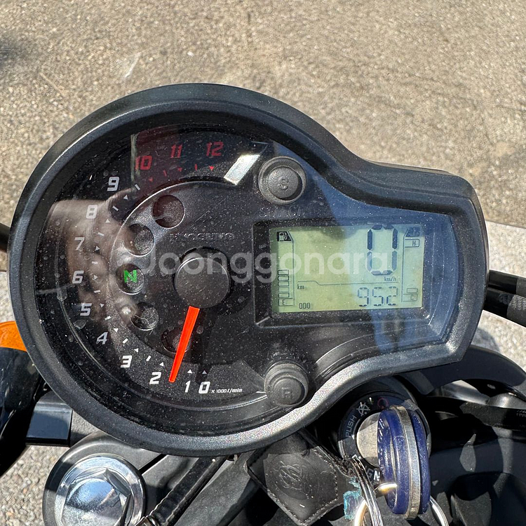 신차급 아퀼라300 24년형 준튜닝 바이크 판매합니다--9