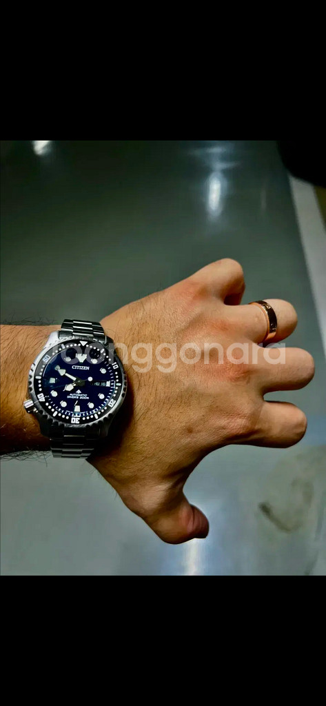 시티즌 복어 펩시 NY0086-16LE--0