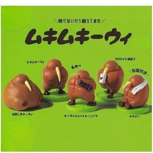 정품 일본 무키무키위 5종 셋트 가챠ㅍㅍㅍ