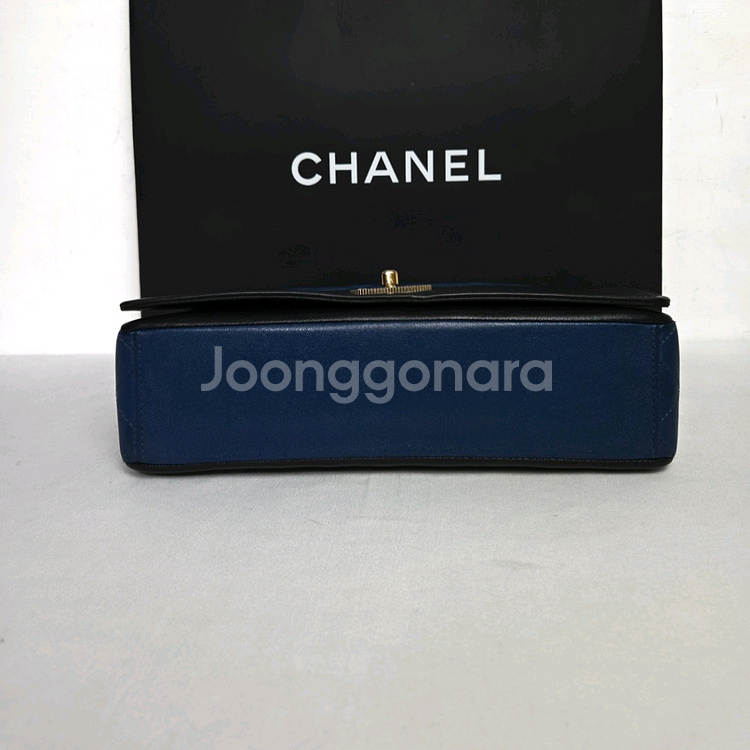 샤넬 마드모아젤 플랩백 쉽스킨--2