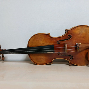 스캇카오 바이올린 1500 캐논 새 악기