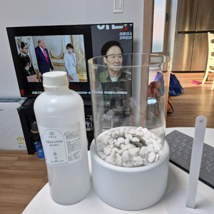 불멍에탄올난로와 에탄올