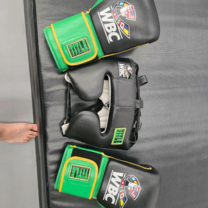 타이틀wbc복싱 스파링세트