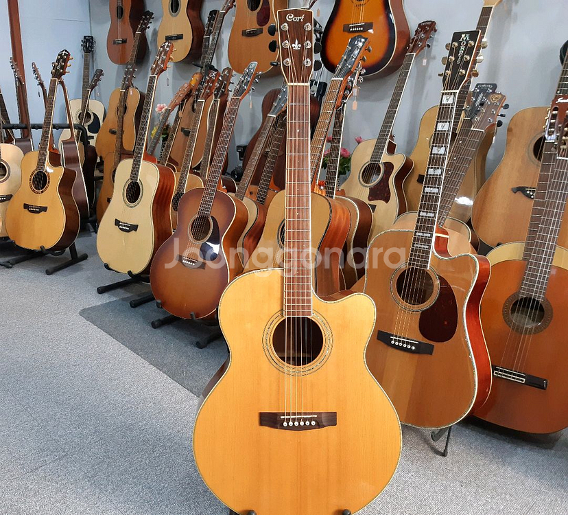 콜트 어쿠스틱 픽업 통기타 CJ-5X--1