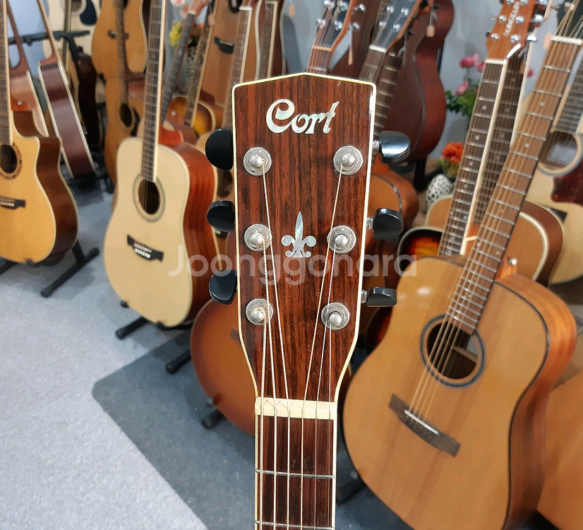 콜트 어쿠스틱 픽업 통기타 CJ-5X--5