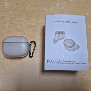 바워스앤윌킨스(Bowers & Wilkins) Pi8