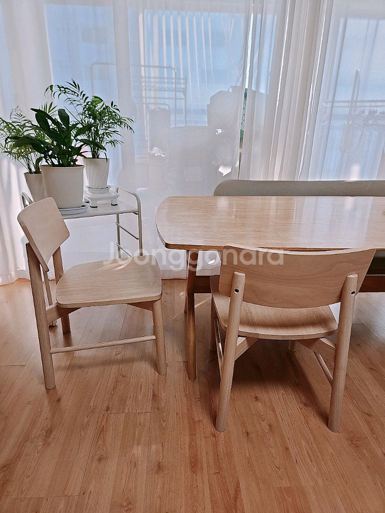 포레 컴포트 리빙다이닝 식탁의자 한샘낮은식탁 원목의자--4