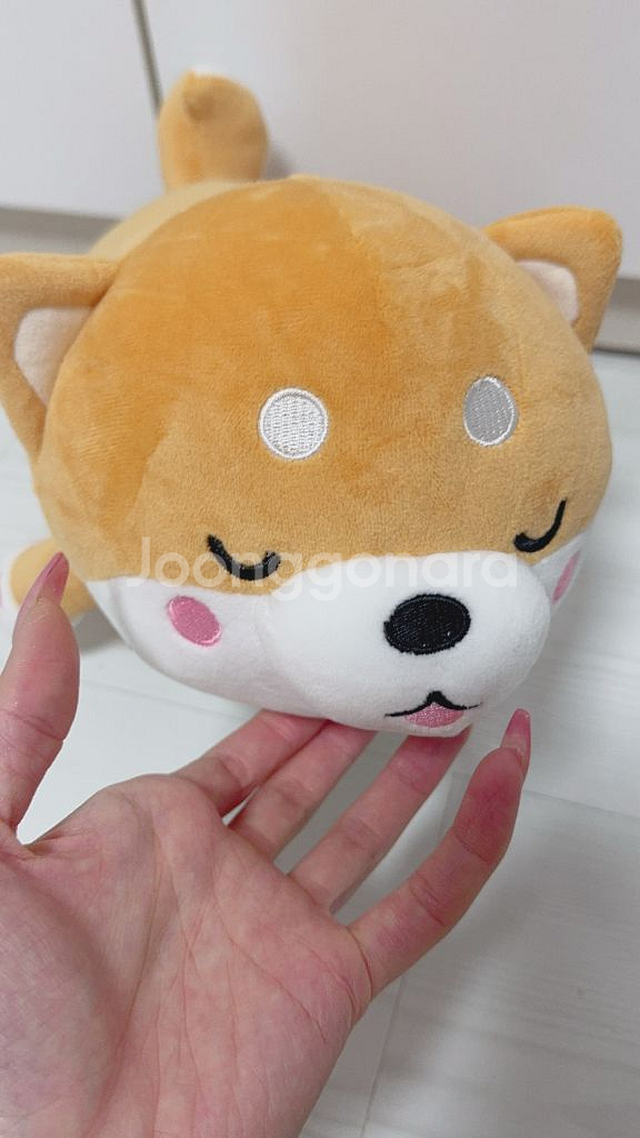 모찌시바 인형 모찌시바인형 모찌시바 시바인형 시바라잉--1