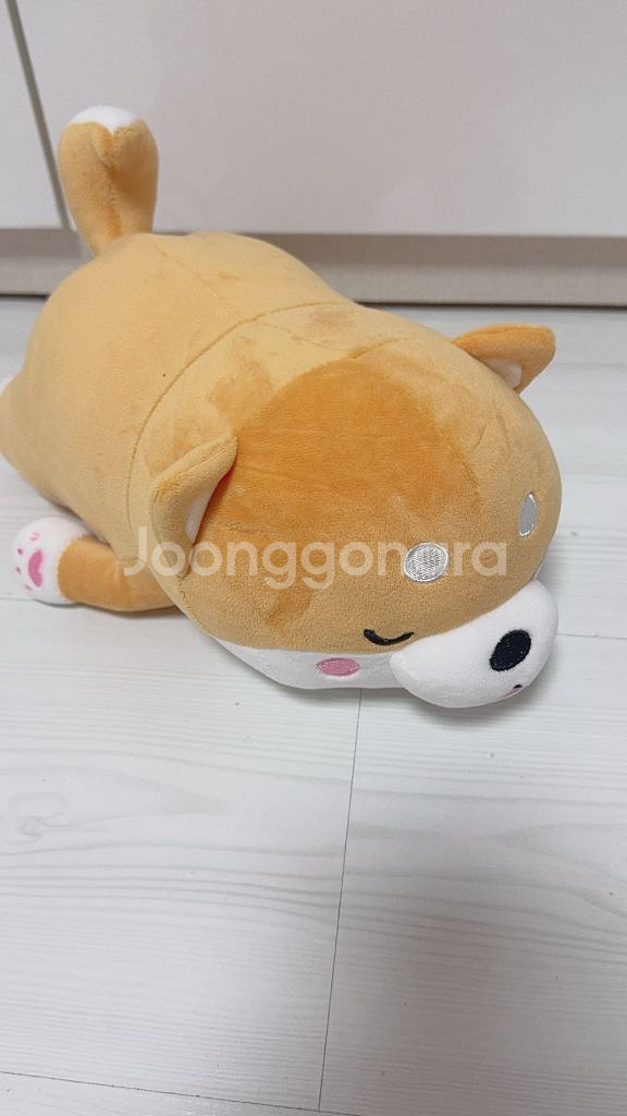 모찌시바 인형 모찌시바인형 모찌시바 시바인형 시바라잉--0