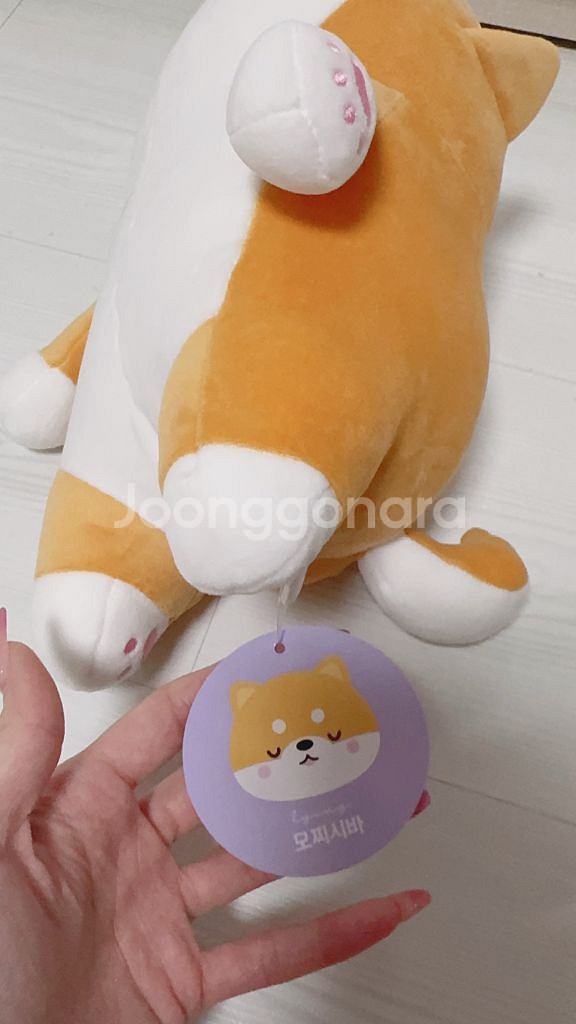 모찌시바 인형 모찌시바인형 모찌시바 시바인형 시바라잉--2