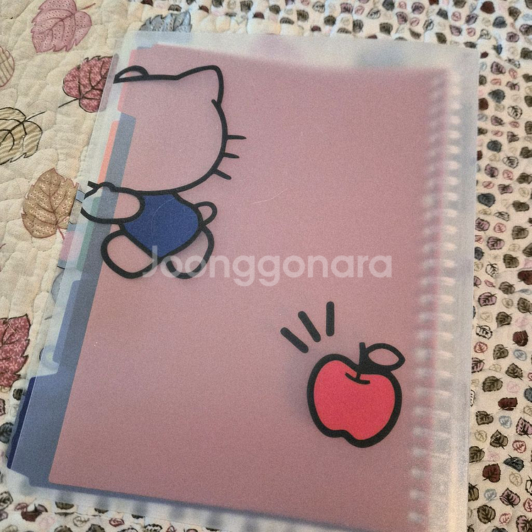새상품/헬로키티 캠퍼스 루즈링 노트--2