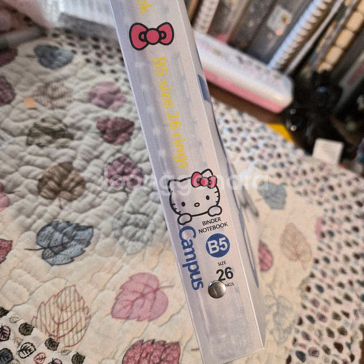 새상품/헬로키티 캠퍼스 루즈링 노트--4
