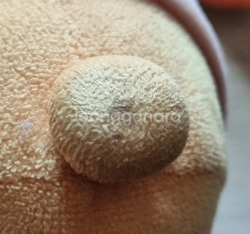 제주도 면세점 라이언, 어피치, 다이소 호랑이 인형--1