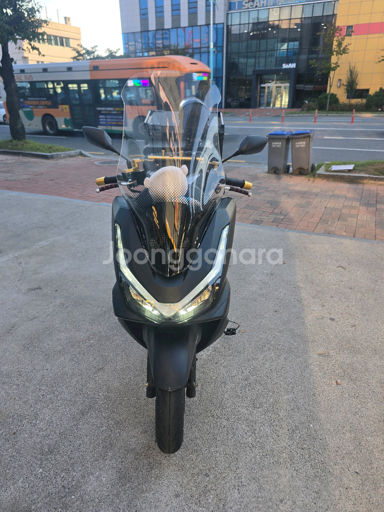 2025pcx125--6