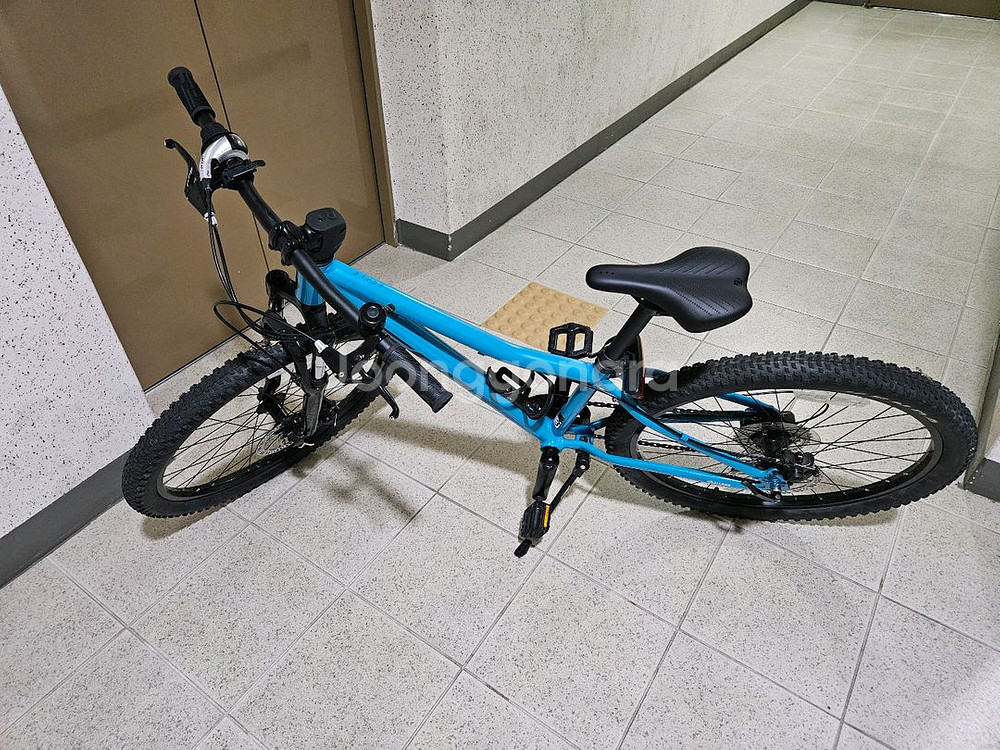 스캇스케일24. SCOTT SCALE24.--0