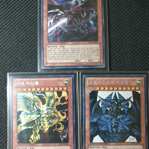 레전더리 바인더 삼환신 팝니다