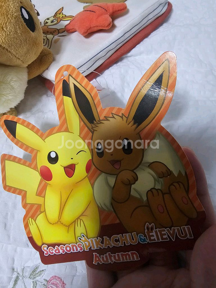 [반택포] 포켓몬센터 정품 계절 시리즈 피카츄와 이브이--2