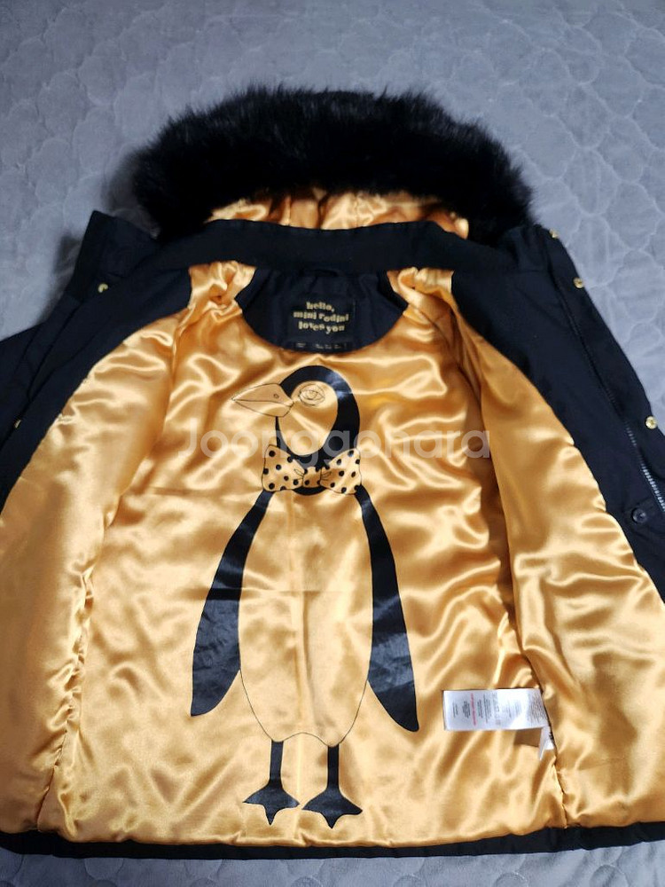 미니로디니 140-146--1