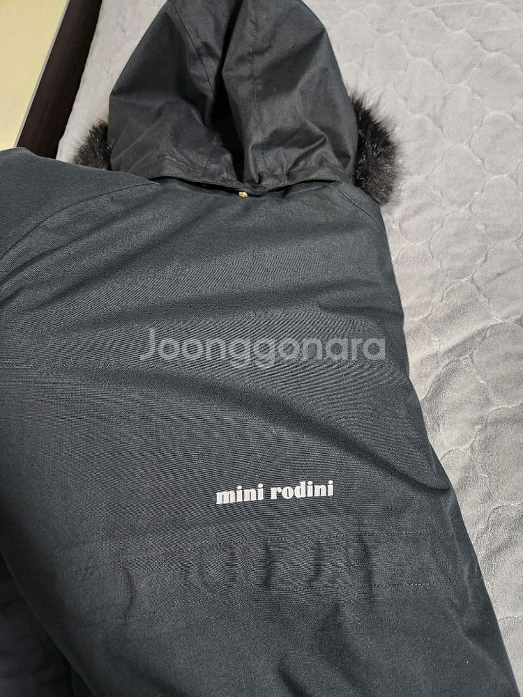 미니로디니 140-146--2