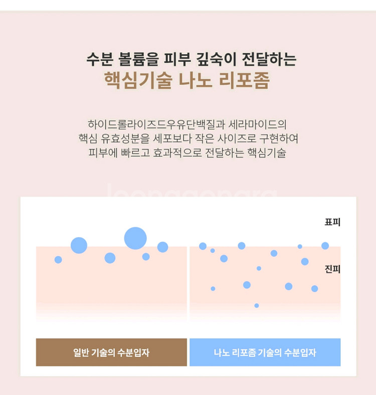 세라마이드 락토 크림--6