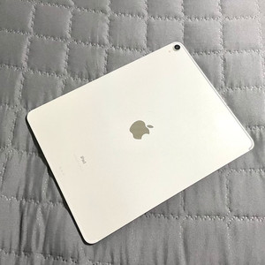 아이패드 프로 3세대 12.9인치 실버