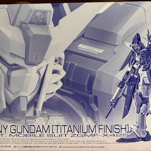 미조립 반다이 RG 프반 데스티니 건담 티타늄 피니쉬