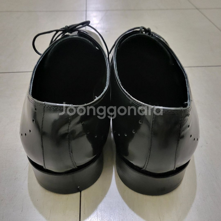 남성용 에스콰이아 구두 260--3