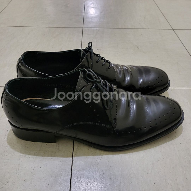 남성용 에스콰이아 구두 260--2