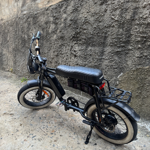 오늘만 엑스라이더 x100s 전기자전거 자토바이 팻바이