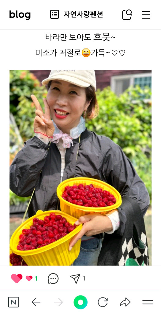 산딸기 모종 10주 3만원 이미지